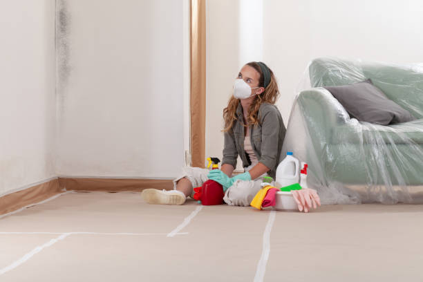 Reliable Mold Cleanup contractor in Boxborough, MA by WQB Mold Removal